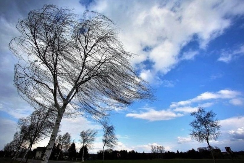 Bakıda və bölgələrdə külək güclənəcək - XƏBƏRDARLIQ