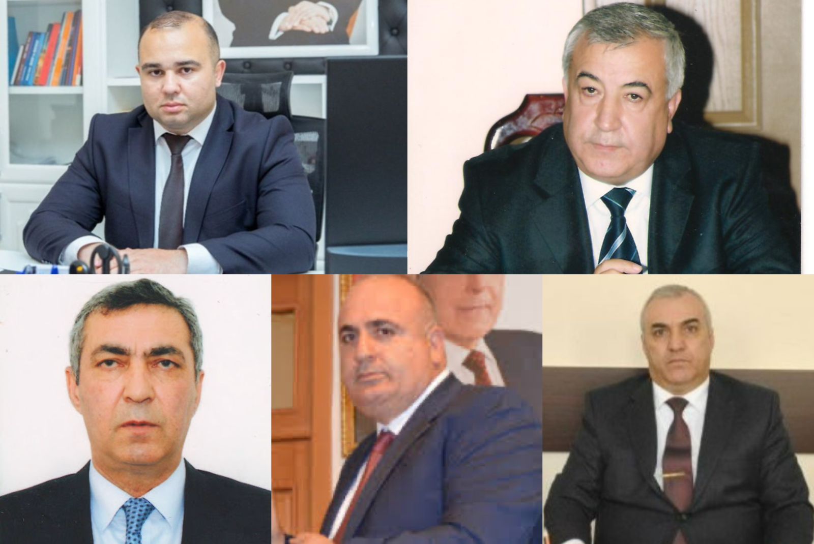 Şərqi Zəngəzurun&nbsp;icra başçıları hansı ixtisaslar üzrə təhsil ALIB?