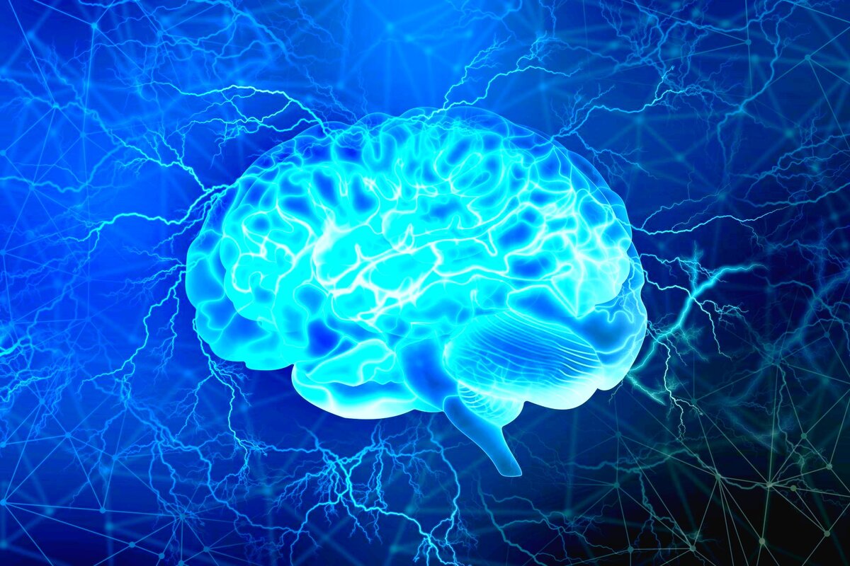 Məşq beynimizi necə qoruyur? -&nbsp;&nbsp;Alimlər mexanizmi açıqladı