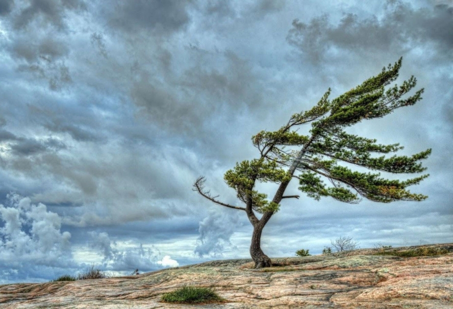 Bəzi yerlərdə külək güclənəcək -&nbsp;XƏBƏRDARLIQ