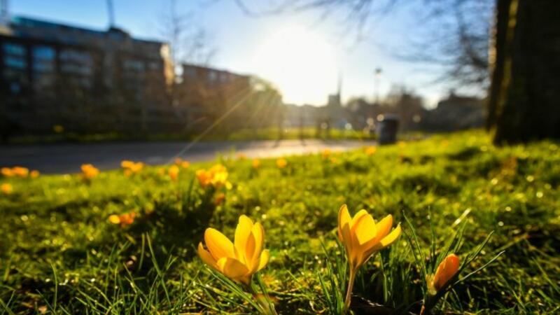 Martda hava necə olacaq?