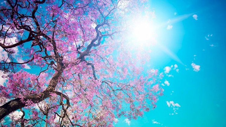 Bu gün hava necə olacaq?