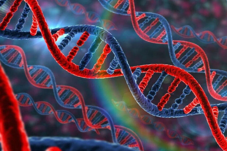 Hidrogen bağları olmadan yeni DNT strukturu yaradılıb