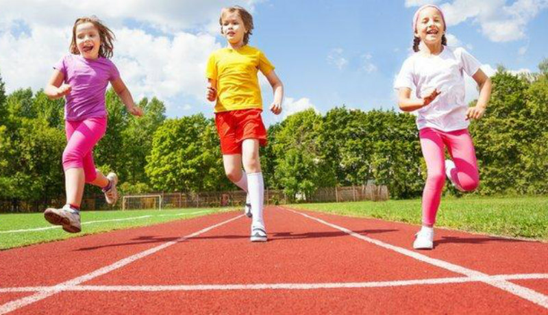 Təhsildə idman məsələsi problemə çevirilib