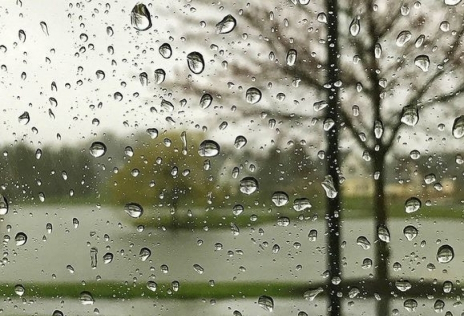 Sabahın havası açıqlanıb