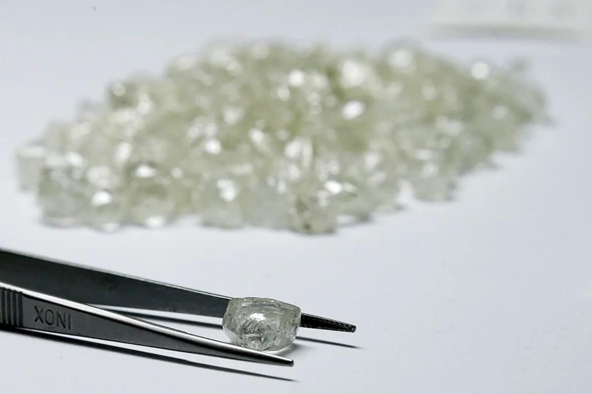 Brilyant sevgisi şimpanzelərdən miras qalıb- Araşdırma