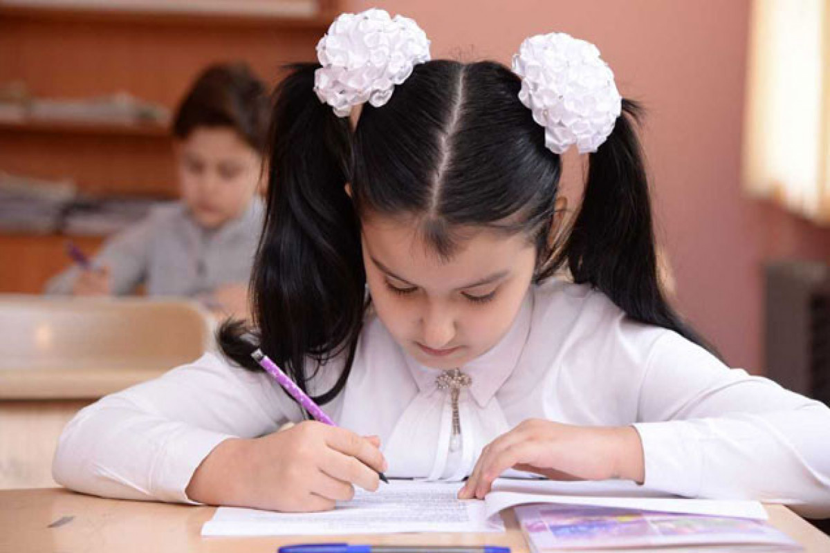 Deputat: Dərsliklər yenilənməli, şagirdlərin dil bacarıqları ölçülməlidir