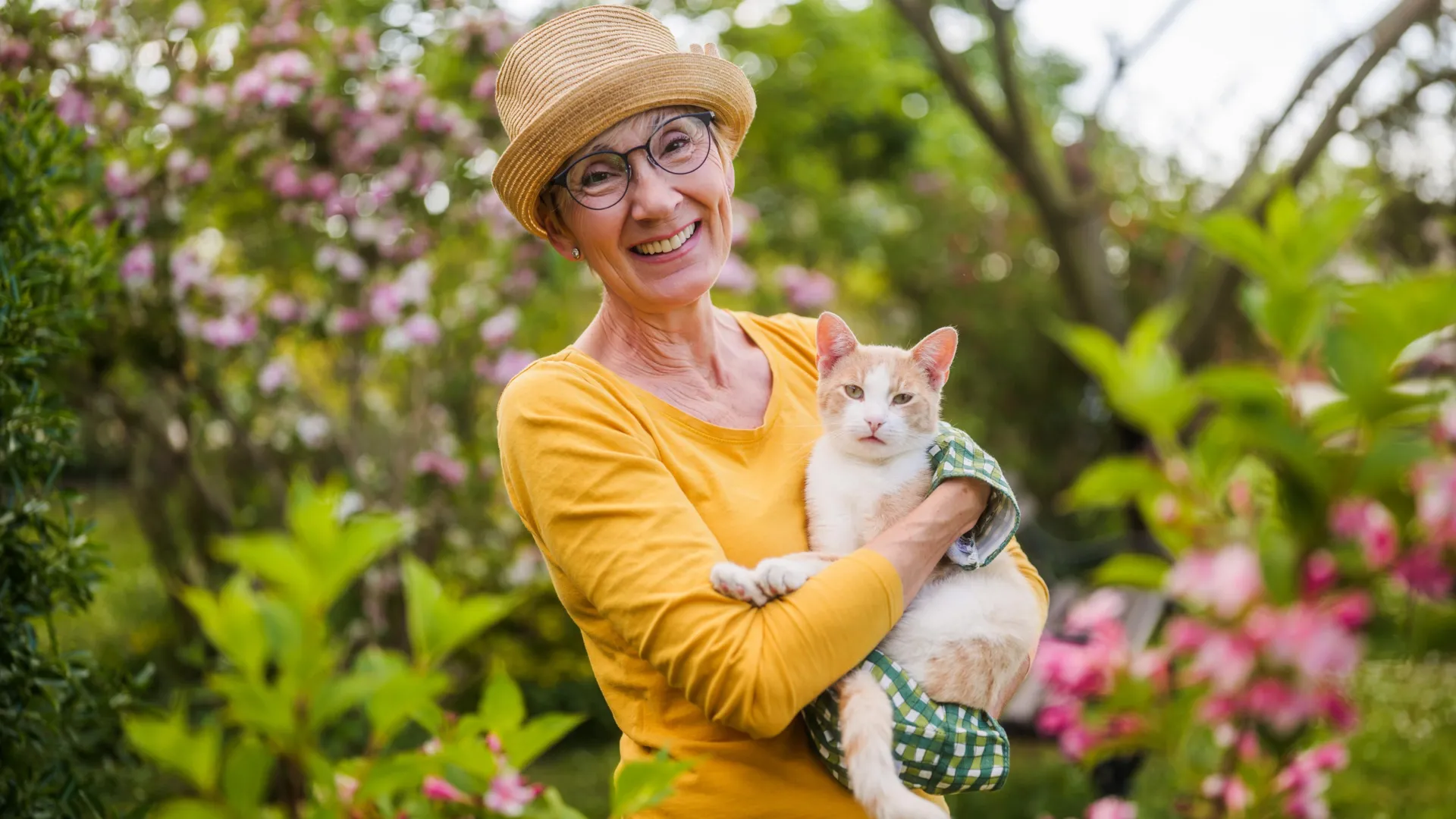 Süd vəzi xərçəngi genetikası pişik və insanlarda oxşardır