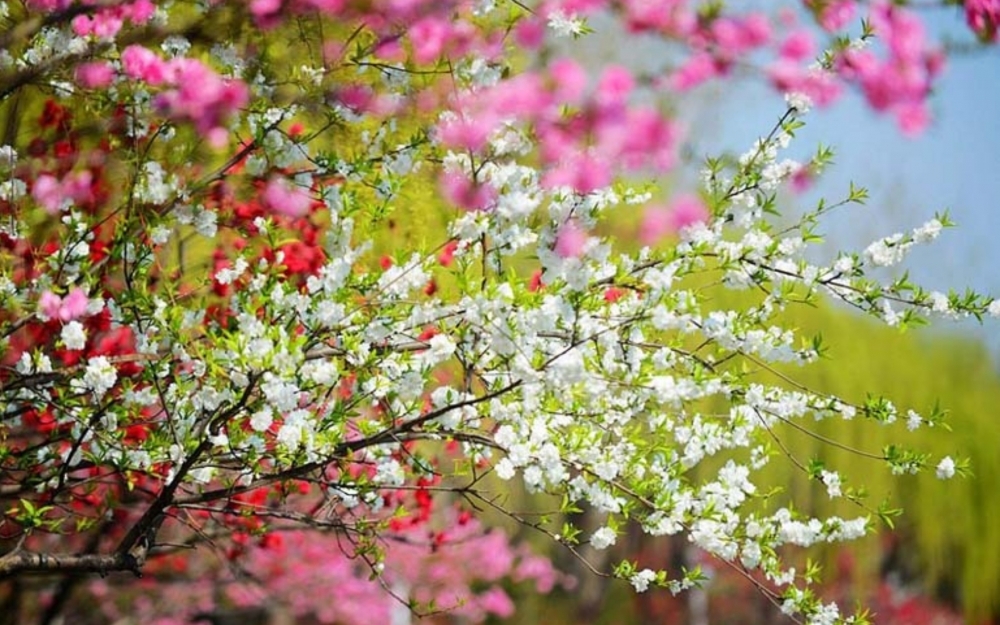 17 dərəcə isti...-GÜNÜN HAVASI