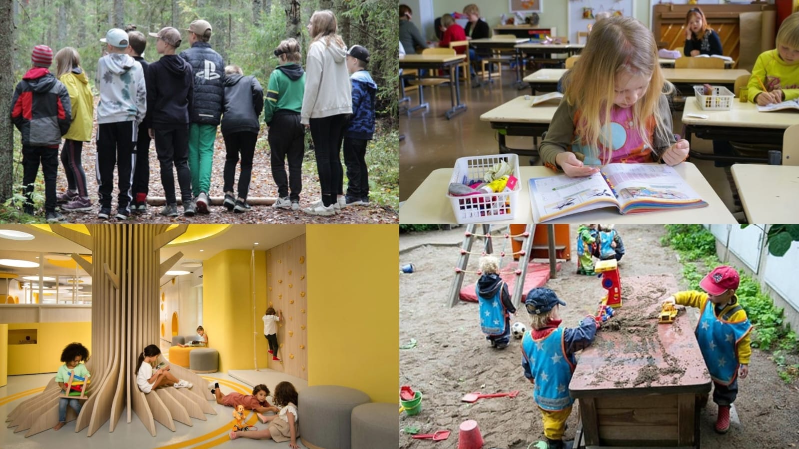 Hər kəsin nümunə çəkdiyi Finlandiya təhsili -&nbsp;imtahan yox, nəticə var