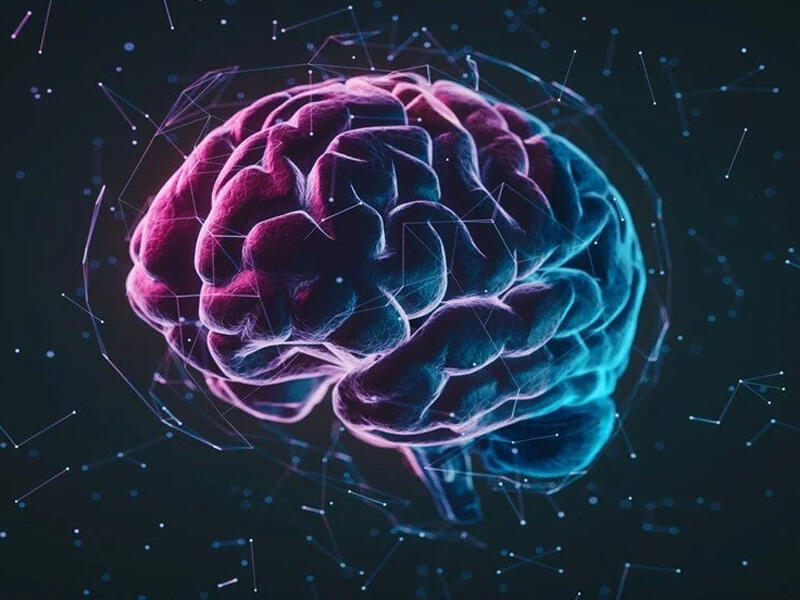 Alimlərdən maraqlı araşdırma