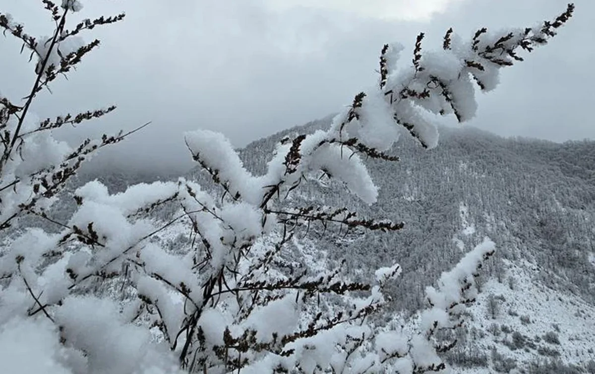 Dağlıq ərazilərə qar yağır- Faktiki Hava