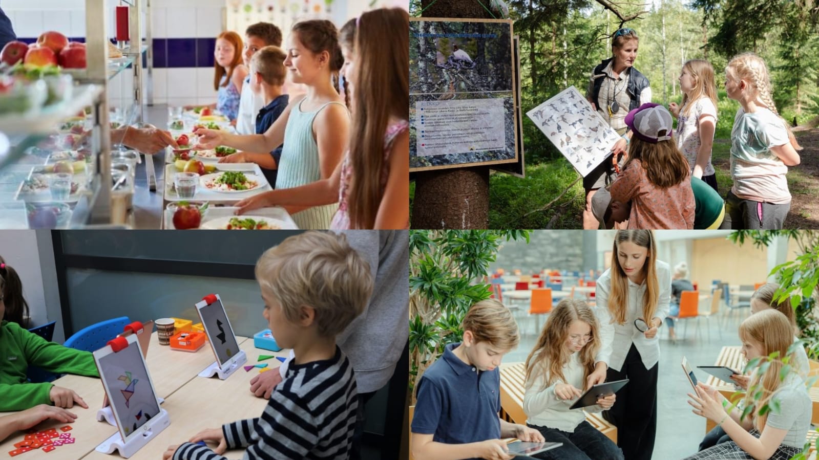Dərs oyunla başlayır, kodlaşdırma ilə davam edir: Estoniya təhsili