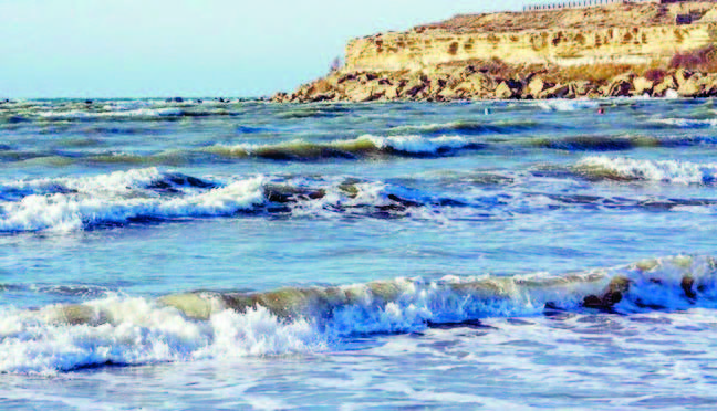 Dənizin dərinliklərində 110-dan çox yeni növ aşkar edildi