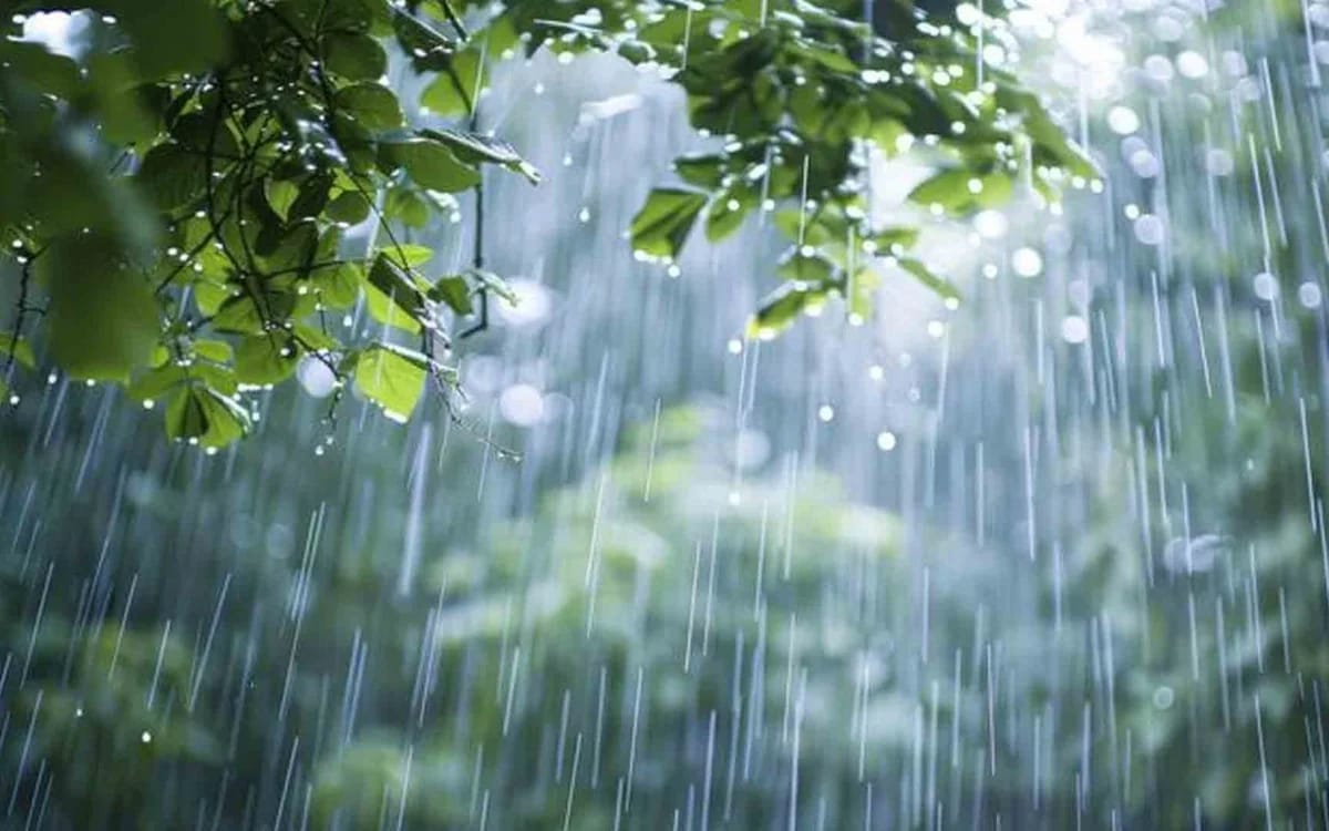 Sabah&nbsp;yağış yağacaq, güclü külək əsəcək