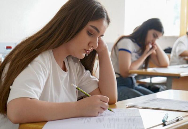 Magistraturaya ikinci şans: 4 mindən çox bakalavr müraciət edib