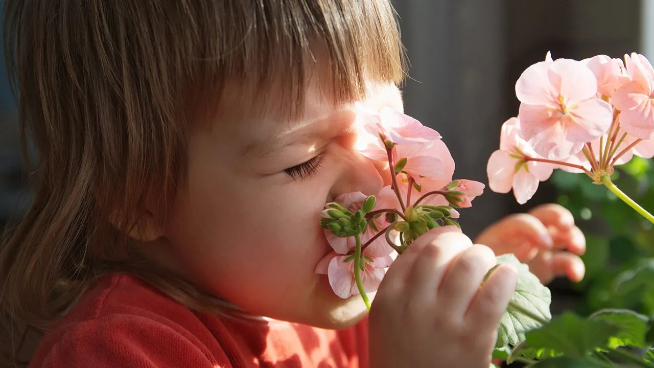 Bahar allergiyası uşaqlarda astma riskini artırır