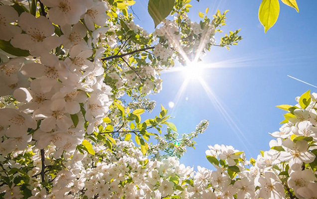 Sabah Bakıda 17 dərəcə isti olacaq - PROQNOZ