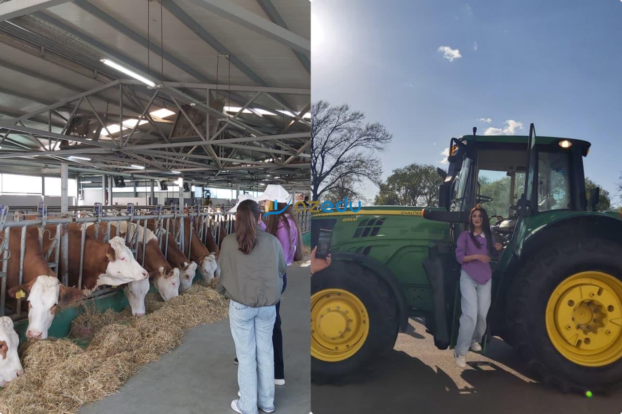 Artıq peşələr &ldquo;qadın&rdquo; və &ldquo;kişi&rdquo; deyə ayrılmır -&nbsp;REPORTAJ