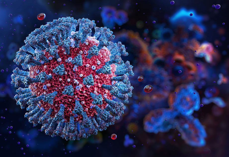 Tədqiqat:&nbsp;Koronavirus insan hüceyrələrinə yeni üsulla daxil olur