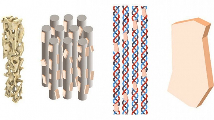 Tədqiqatçılar&nbsp;sümük bərpası üçün yeni material hazırlayıb