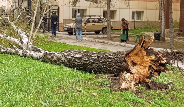 Rusiyada əlverişsiz hava şəraitinə görə 1 uşaq ölüb, 5-i xəsarət alıb