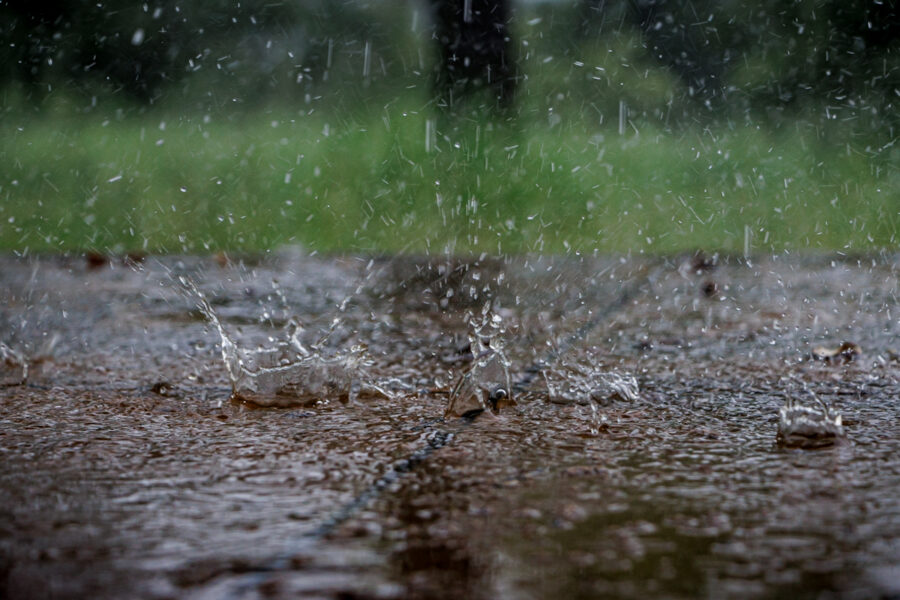 Günün havası - külək, yağış...