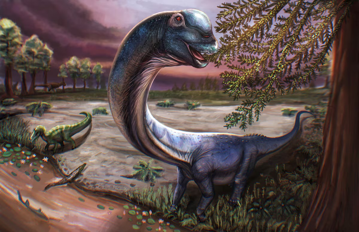 Taylandda nəhəng dinozavr skeleti tapıldı