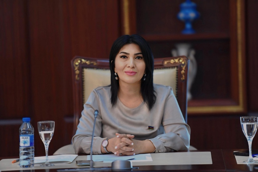 &nbsp;&ldquo;Kitab oxumayan cəmiyyətin böyük ideyaları ola&nbsp;bilməz&rdquo; - Deputatın&nbsp;&ldquo;Təhsil Resepti&rdquo;