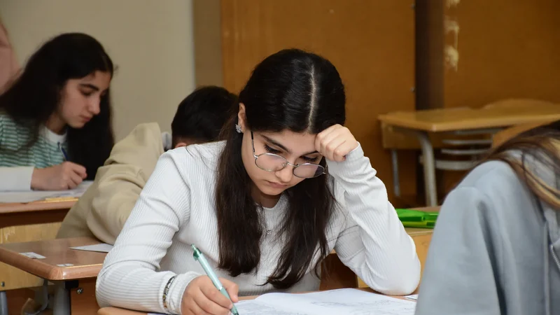 II və III qruplarda&nbsp;700 bal olmadı -&nbsp;İmtahan çətin idi, yoxsa abituriyentlər zəif?