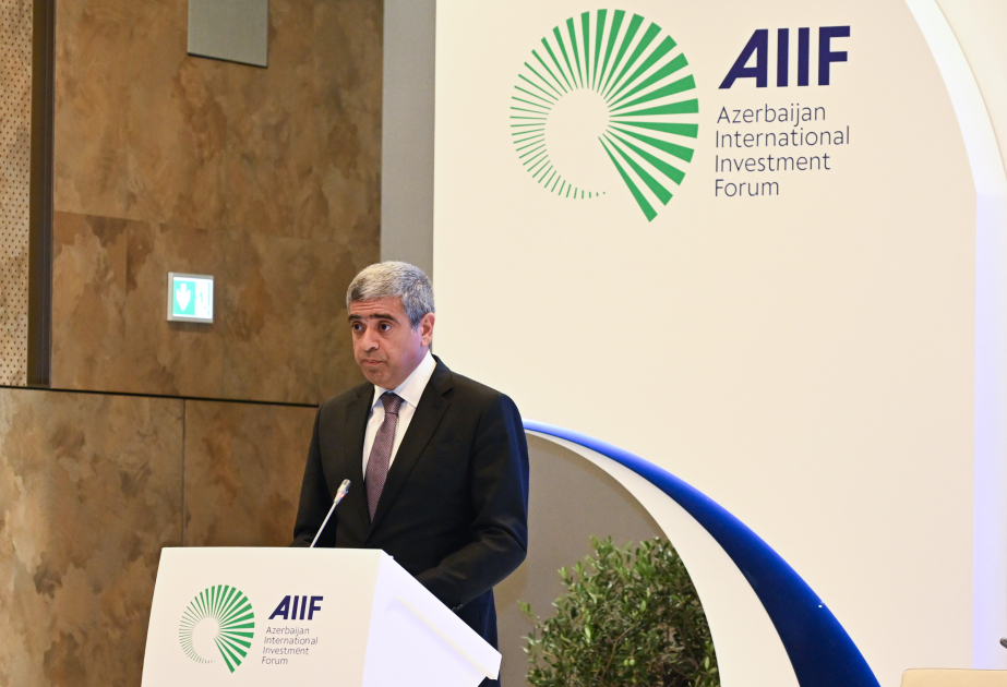 Anar Əliyev: İnsan kapitalı uzunmüddətli inkişafın əsas hissəsidir