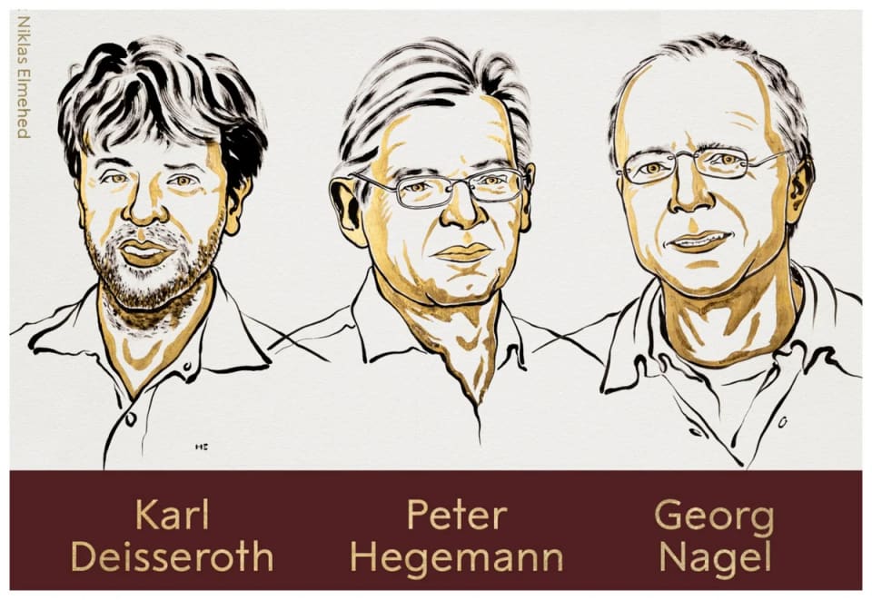 Fiziologiya və ya tibb üzrə Nobel laureatları açıqlanıb