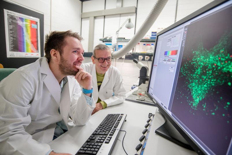 Alzheimer və Parkinsonla bağlı yeni texnologiya hazırlanıb