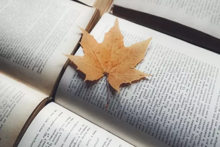 Kitab oxuyarkən&nbsp;buraxdığımız səhv &ndash; Alimlər&nbsp;xəbərdarlıq edir