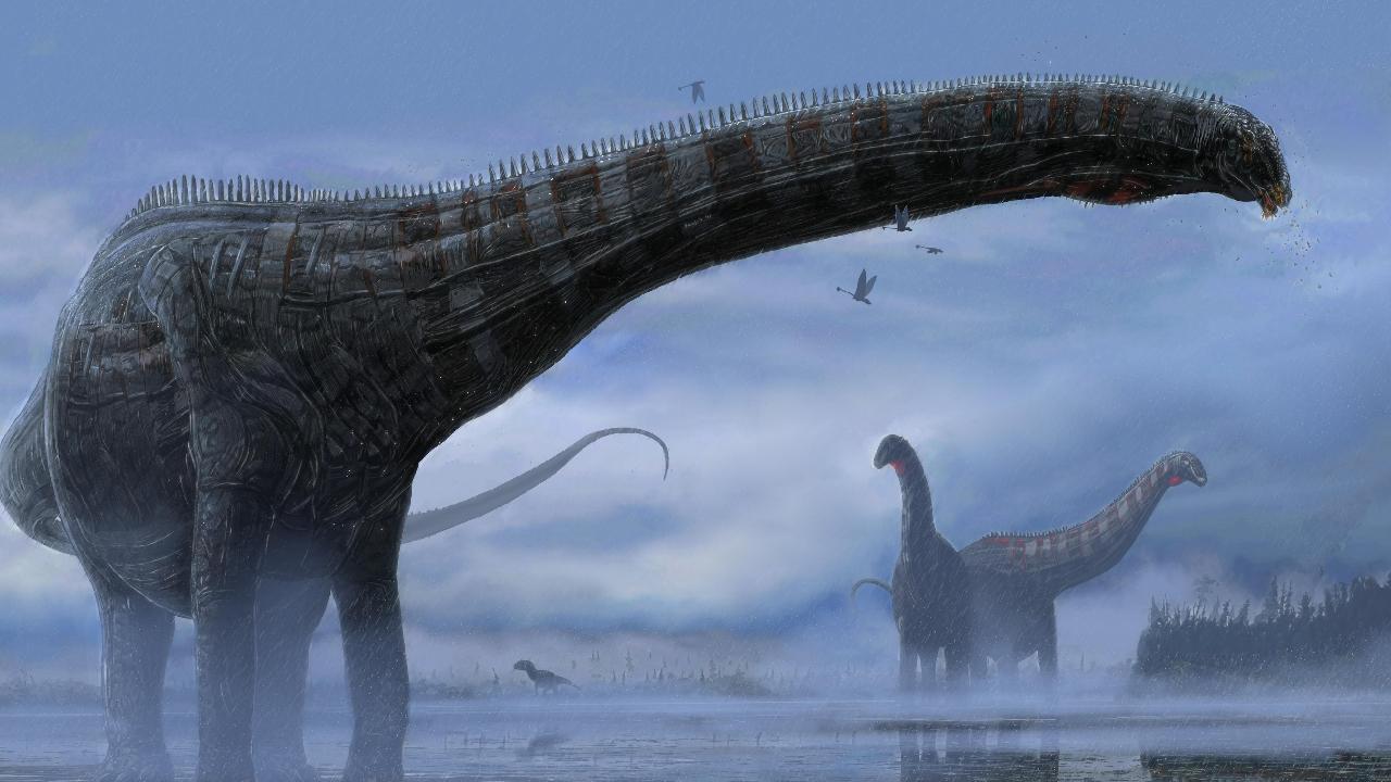 Alimlər&nbsp;yeni dinozavr növü aşkarladılar